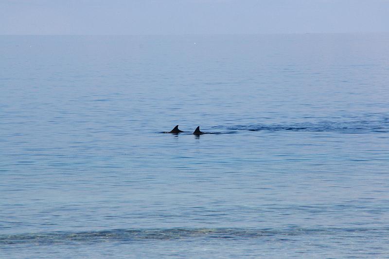 Kuramathi (149).jpg